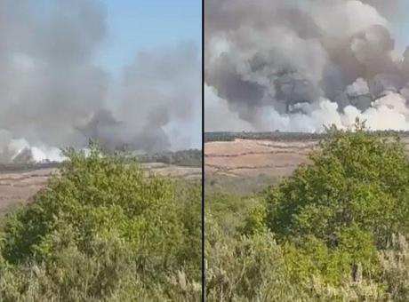 Beykoz'daki Orman Yangınına Hızlı Müdahale: Havadan ve Karadan Çalışmalar Devam Ediyor