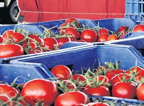 Sebze Fiyatlarında Yıllık Artış Yüzde 148, Domateste Tarihi Rekor