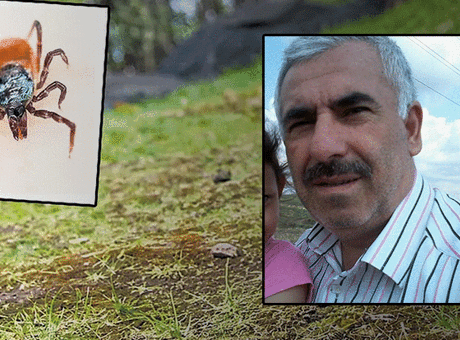 Sivas'ta Kene Alarmı: Madımak Topladıktan Sonra Hayatını Kaybeden Adamın Acı Hikayesi