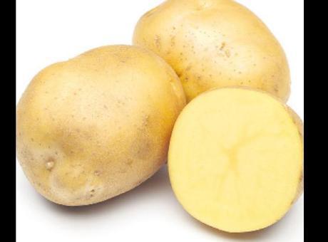 Avrupa'da Patates Üretimindeki Dönüşüm ve Fiyat Dalgaları