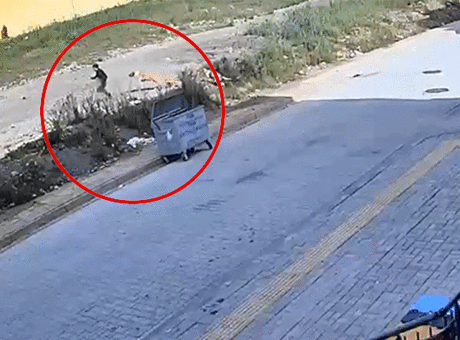7 Yaşındaki Yiğit'in Korkunç Anları Kameralara Yansıdı: Sokak Köpekleri Tarafından Kovalandı