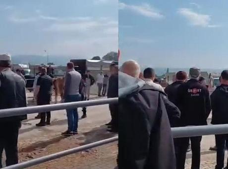 Bursa'da Kurban Pazarı Kavgası: Jandarma Havaya Ateş Açtı