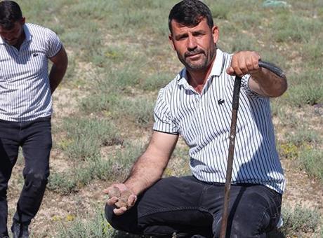 Sait Alkış: Dolaman Mantarının Usta Avcısı