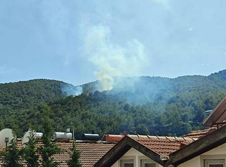 Muğla'da Hızla Kontrol Altına Alınan Orman Yangını