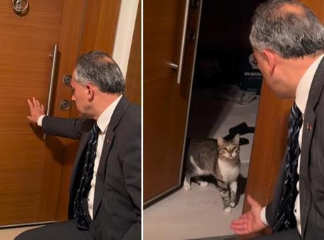 Osmaniye Belediye Başkanı'nın Kedisi Fred, Kapının Anahtarını Unutan Sahibini Karşılıyor