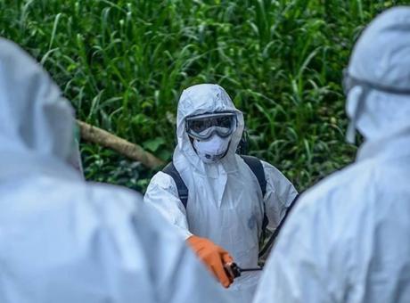 Ebola Krizi Karşısında Alarm: Ölü Sayısı 139'a Yükseldi