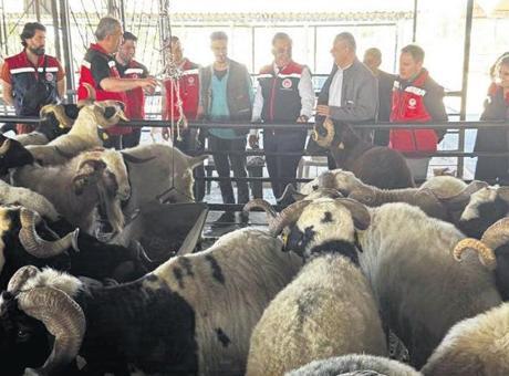 Kurban Bayramı'nda Sağlıklı Et Tüketimi İçin Dikkat Edilmesi Gerekenler