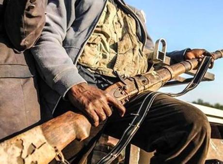 Nijerya'da Terörle Mücadele: 317 Silahlı Çeteci ve Terörist Etkisiz Hale Getirildi