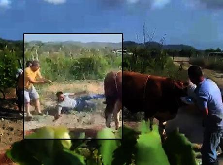 Kurbanlık Boğa Kaçtı, Sokaklarda Panik Yarıldı!