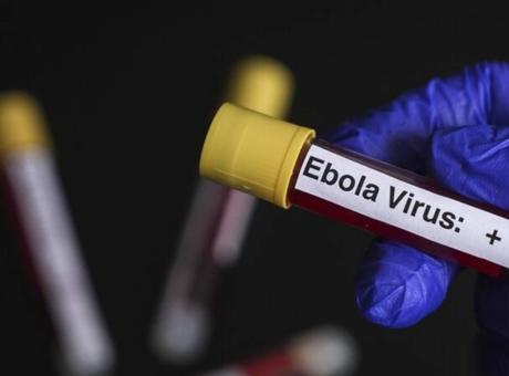 Belçika’da Ebola Alarmı: Hastaneler ve Doktorlar Hazırlık Yapıyor