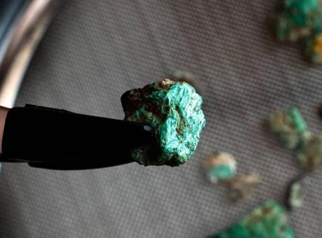 Cave 338'de Çocuğa Ait Diş ve Parmak Kemikleri Bulundu: Dağların Gizemleri Araştırılıyor
