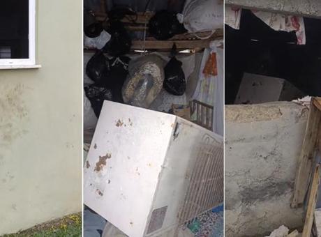 Rize Çamlıhemşin'de Ayı Panik Yarattı: 20 Eve Girdi, Vatandaşlar Tedirgin Oldu