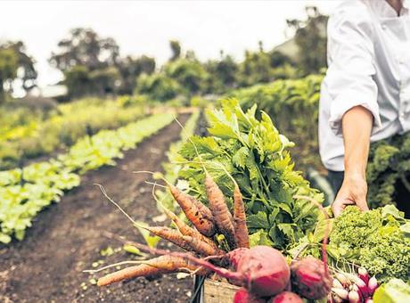 Tarımda 4.0 Dönemi Başlıyor: Çiftçiler İçin Anlık Veri Avantajları