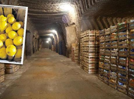 Kapadokya'nın Eşsiz Soğuk Hava Depolarında Limon Olgunlaşması