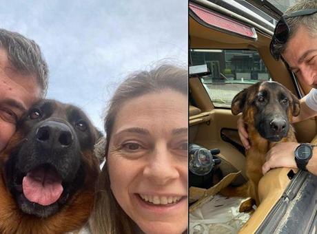 Kaybolan 'Santos' İçin 100 Bin Lira Ödül İlan Edildi: Aramaktan Vazgeçmiyoruz