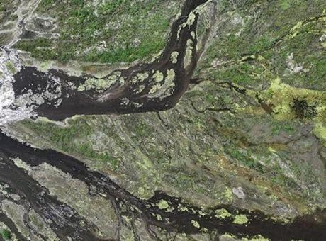 Tuna Nehri'nde tarihi kuraklık! Su seviyesi rekor düşük seviyeye indi