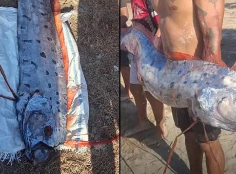 'Kıyamet balığı' sahile vurdu! Ülkede tüyler ürperten tesadüf: '6 gün sonra patladı'